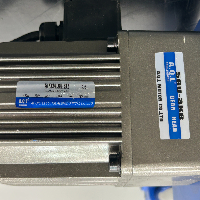 Three-Phase Induction Gear Motor image 2